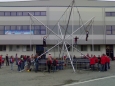 Bungee trampoline