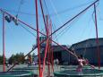 Bungee trampoline