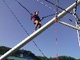 Bungee trampoline